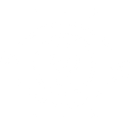 Vision