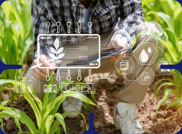 Business transformation program Agritech