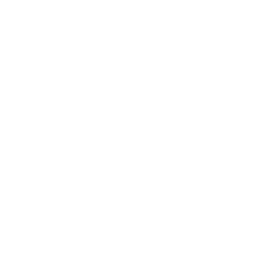 Growth Acceleration Partner