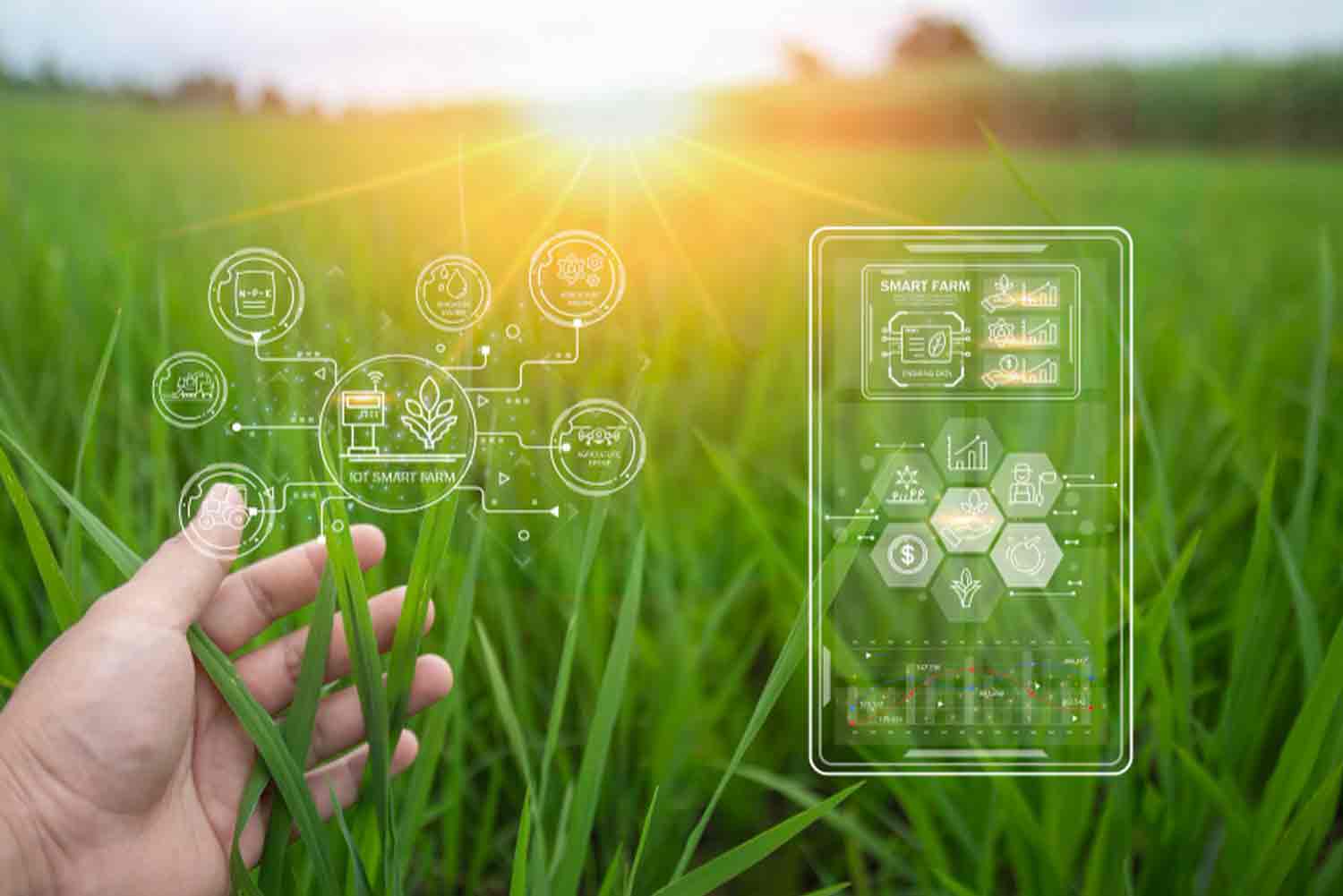 Agritech - Infopace Agritech Transformation solutions